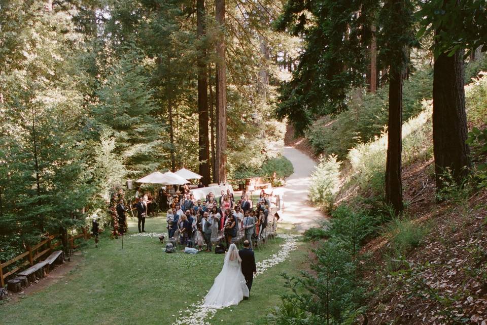 Redwood Ceremony