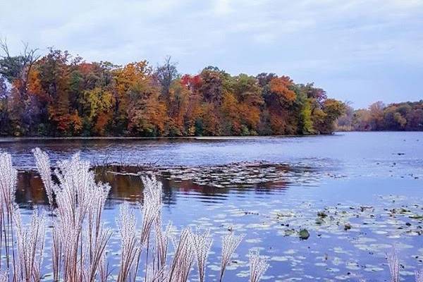 Lake kingsley fall