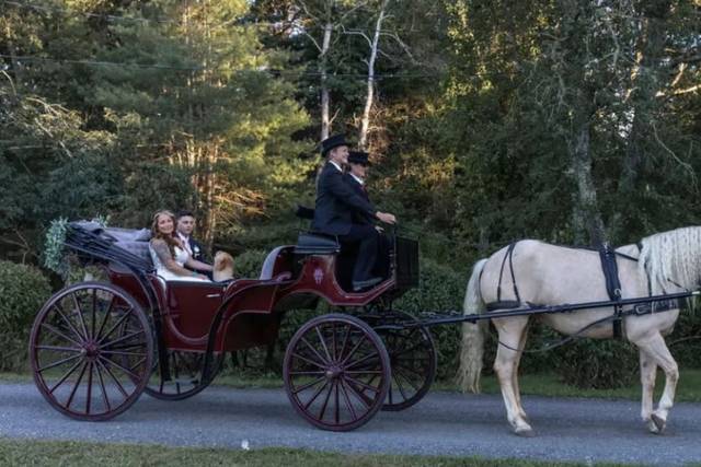 Clover Creek Horse and Carriage