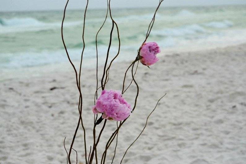 White Sand Weddings