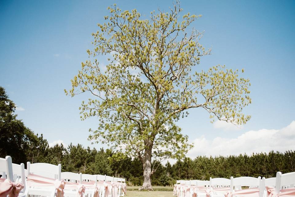 White Sand Weddings