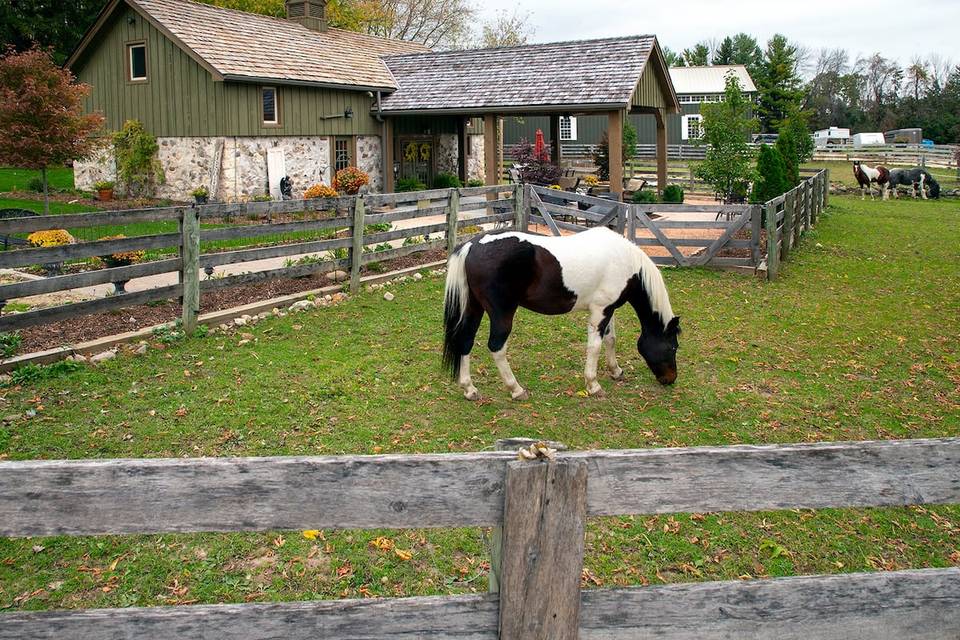 Stone Ridge Farm Chapel