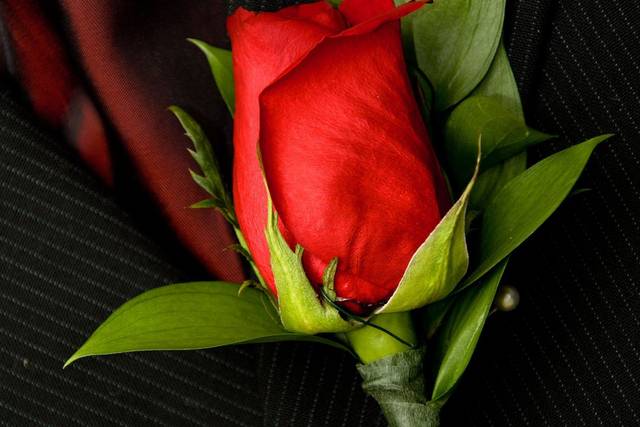 Red rose boutonniere