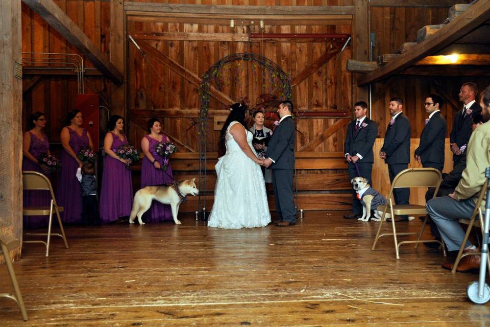 Barn Wedding