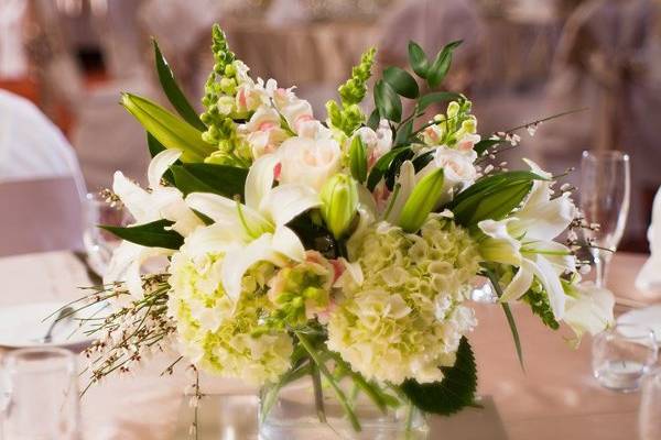 Tampa Marriott Westshore- Brilliant Weddings