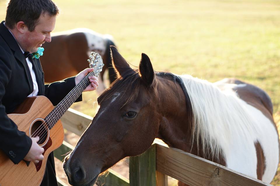 Playing for the horses