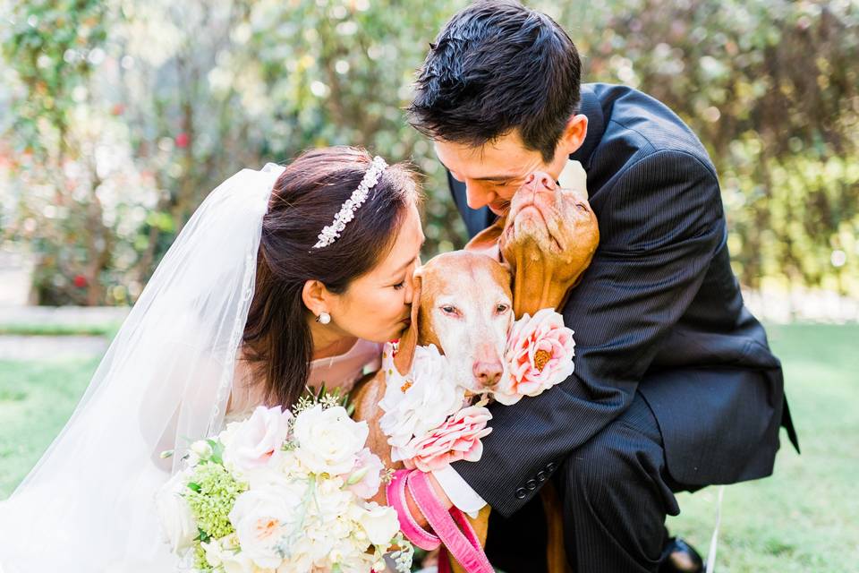 Newlyweds and their dog