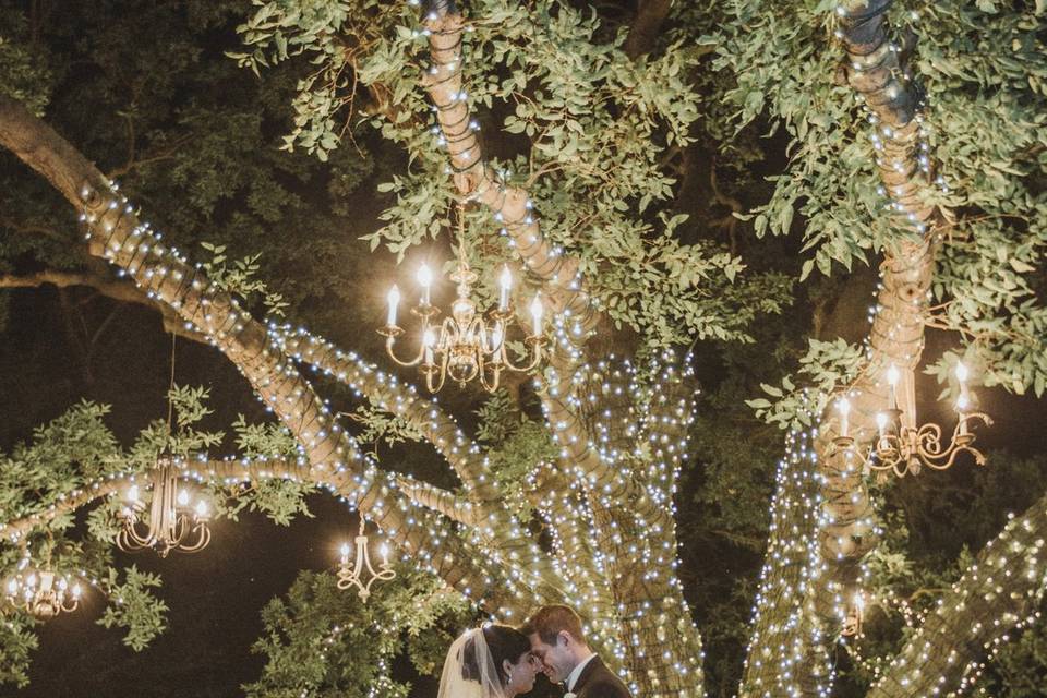 Kiss under the tree lights