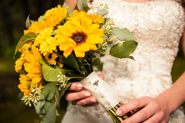 Southern Yankee Exposures, LLC