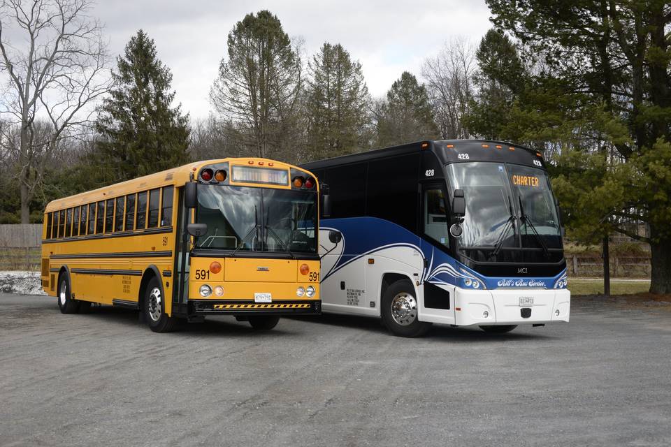School & bus & motorcoach