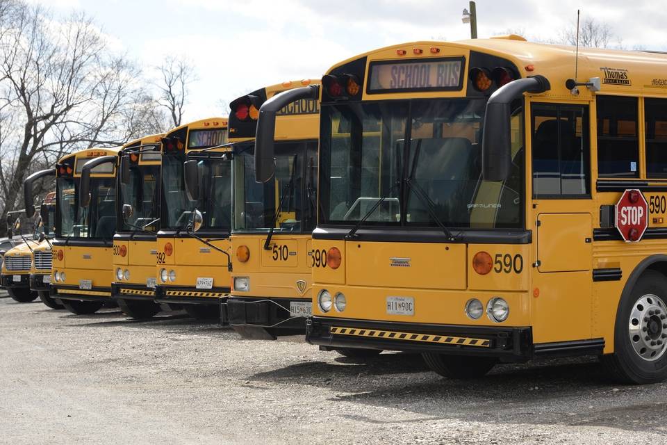 School Bus Transport