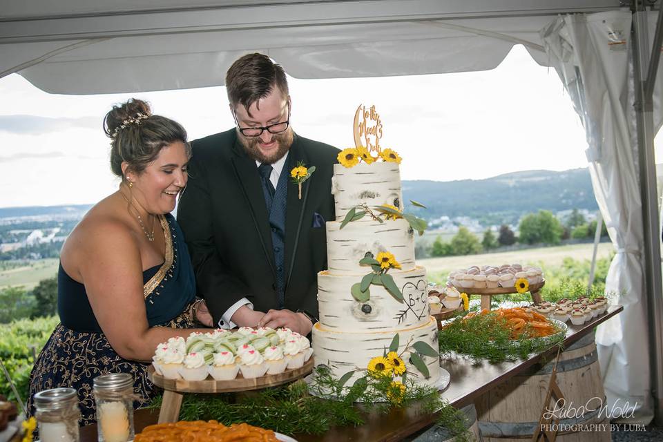 Couple cutting cake