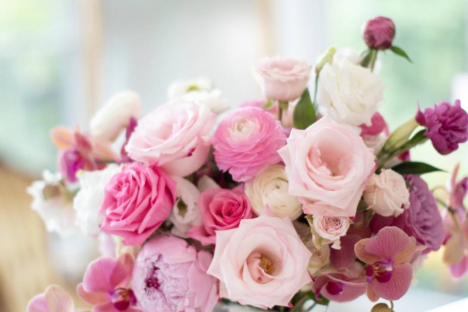 All the pinks