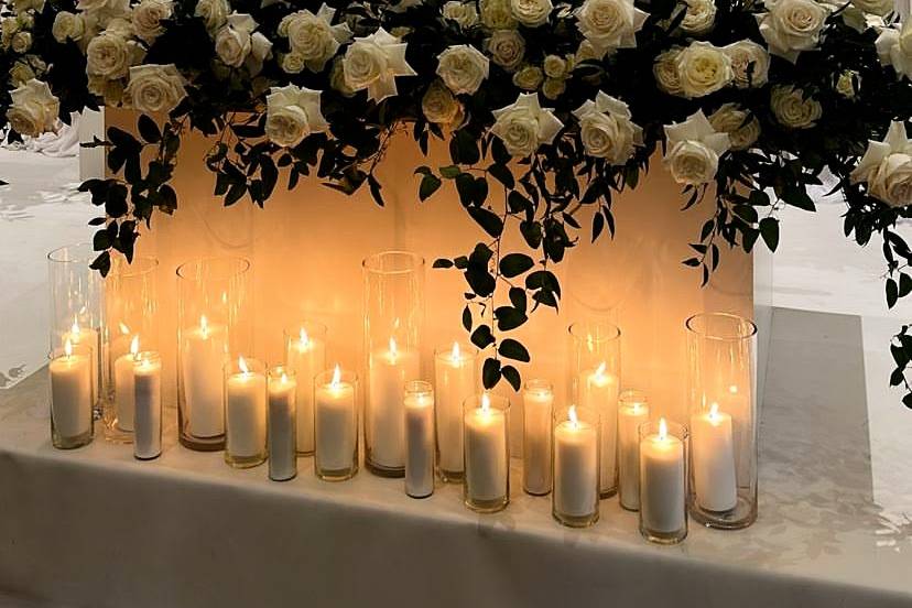 Perfect roses