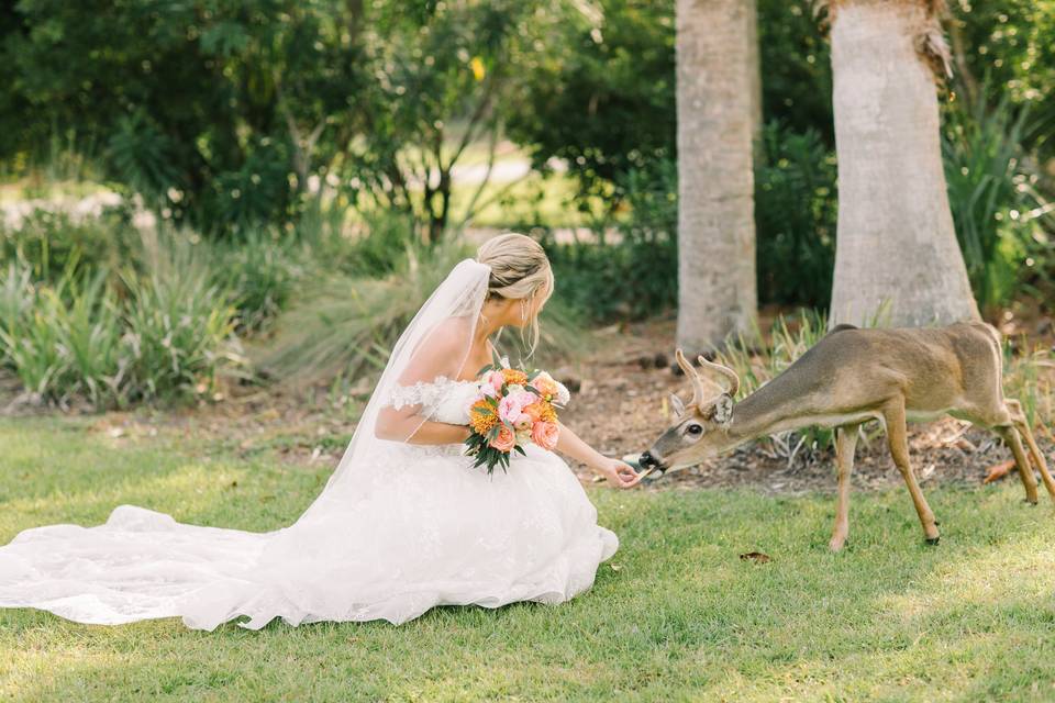 Bride and Wildlife