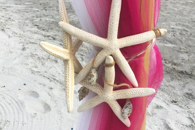 Starfish decors