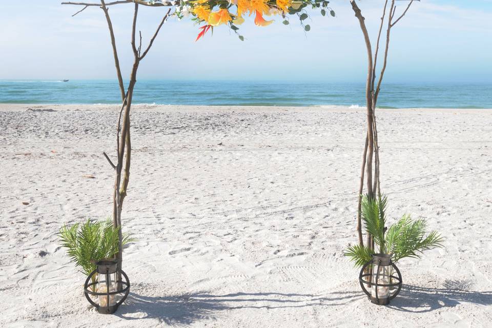 Florida Paradise Weddings