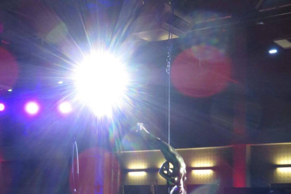 Aerial pole