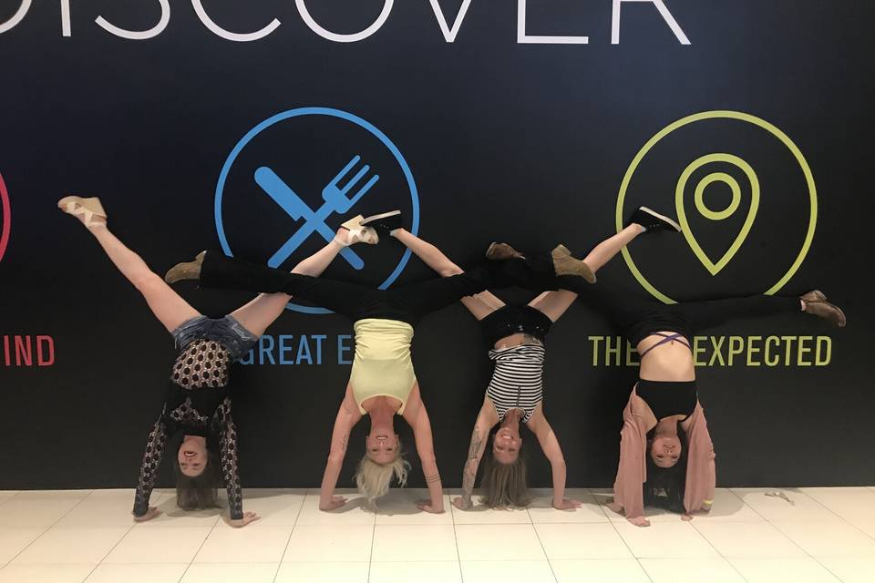 AlaskaAerialArts