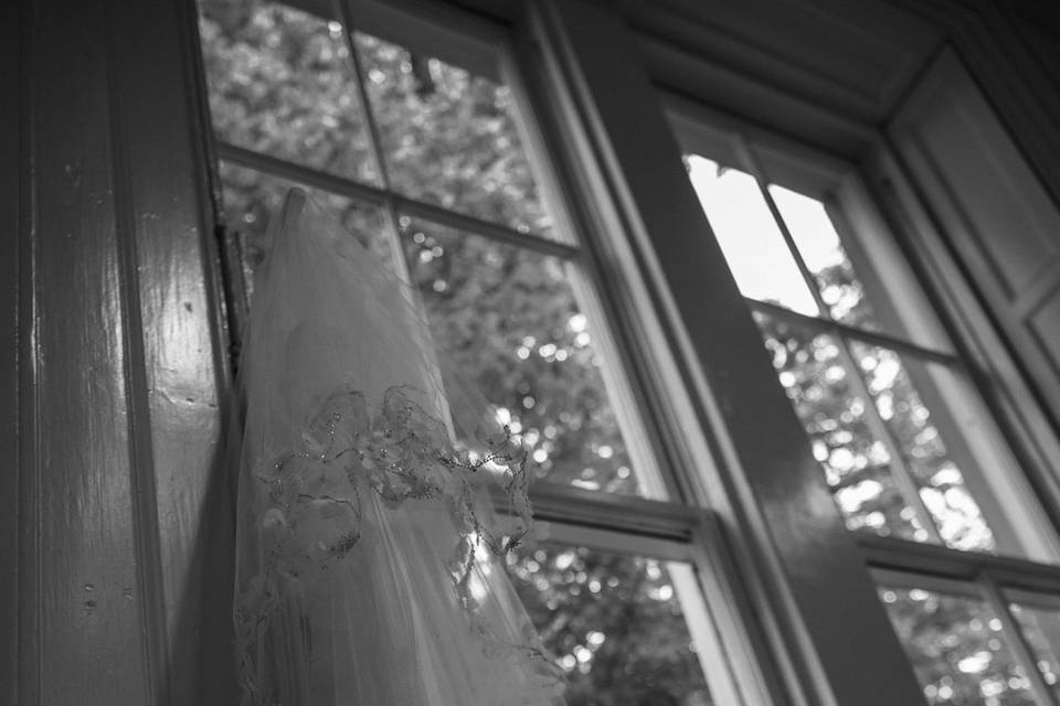 Bride hand
