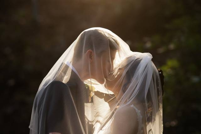 Lauren Talli Photography