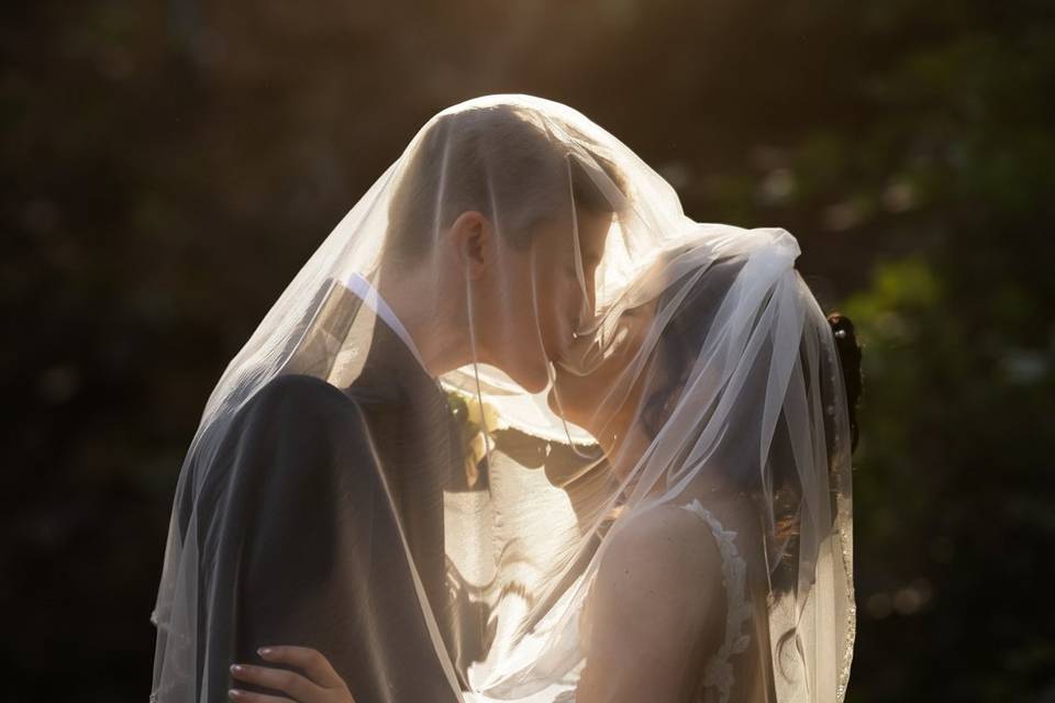Lauren Talli Photography