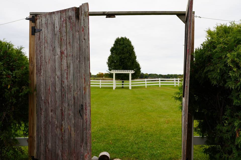 Outdoor Ceremony