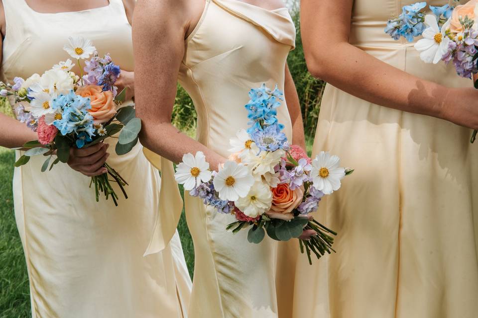 Avery Phillips Photography
