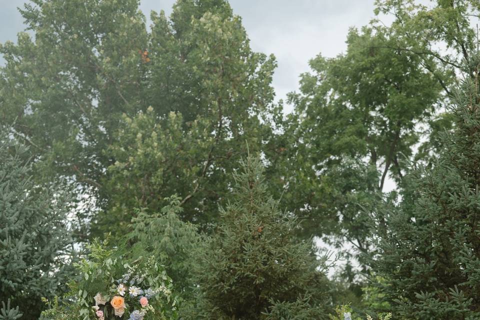 Morgan Tidey Photography