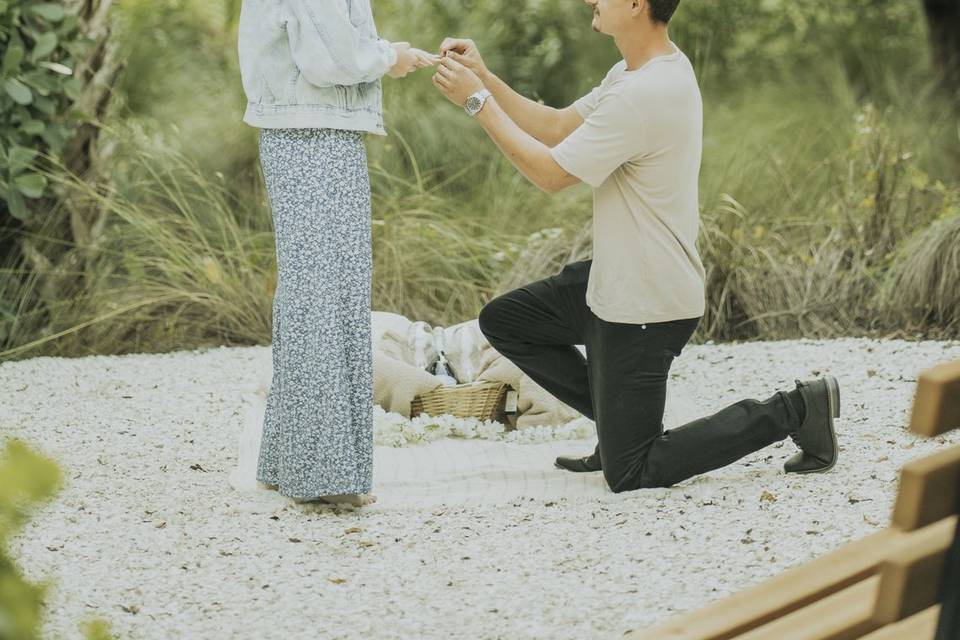 Engagement