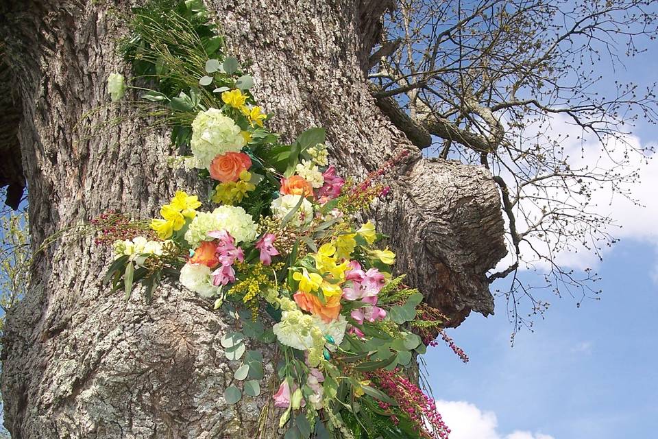 Tree florals