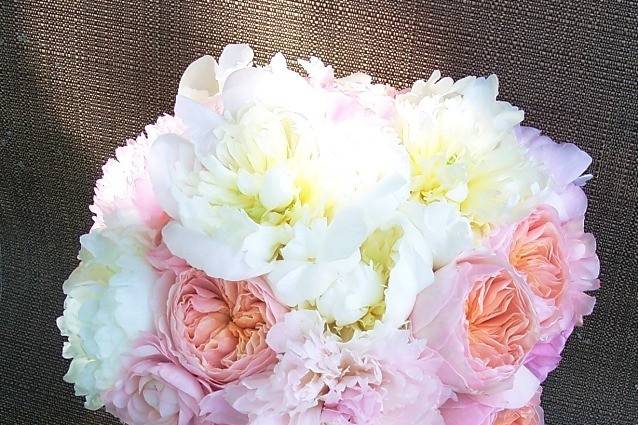 Peony and Garden roses