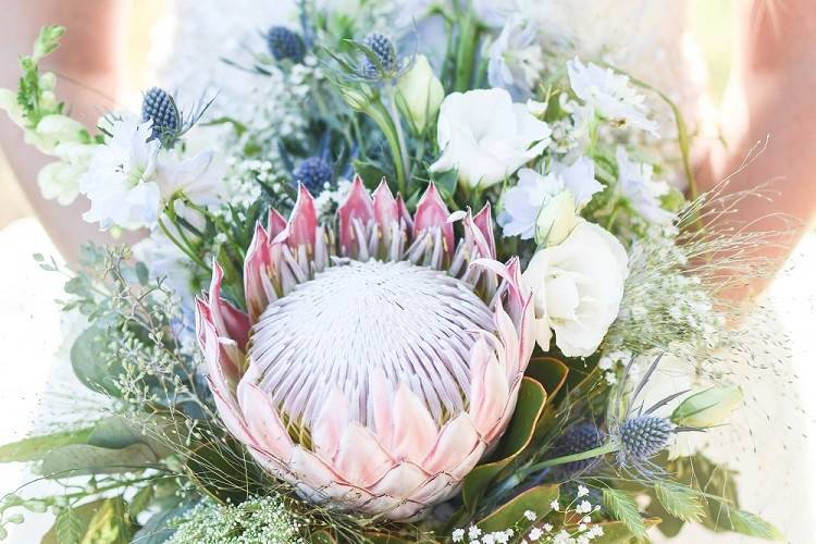 Summer protea bridal bouquet