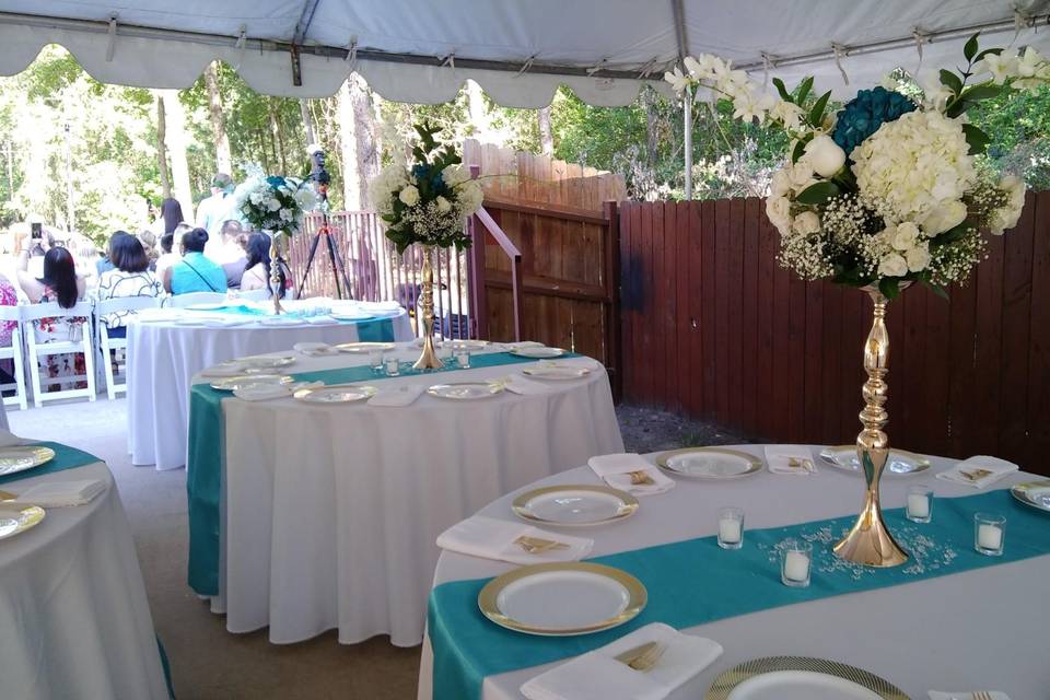 Outdoor reception setup