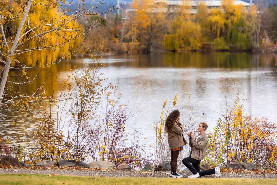 Spokane Surprise Proposal