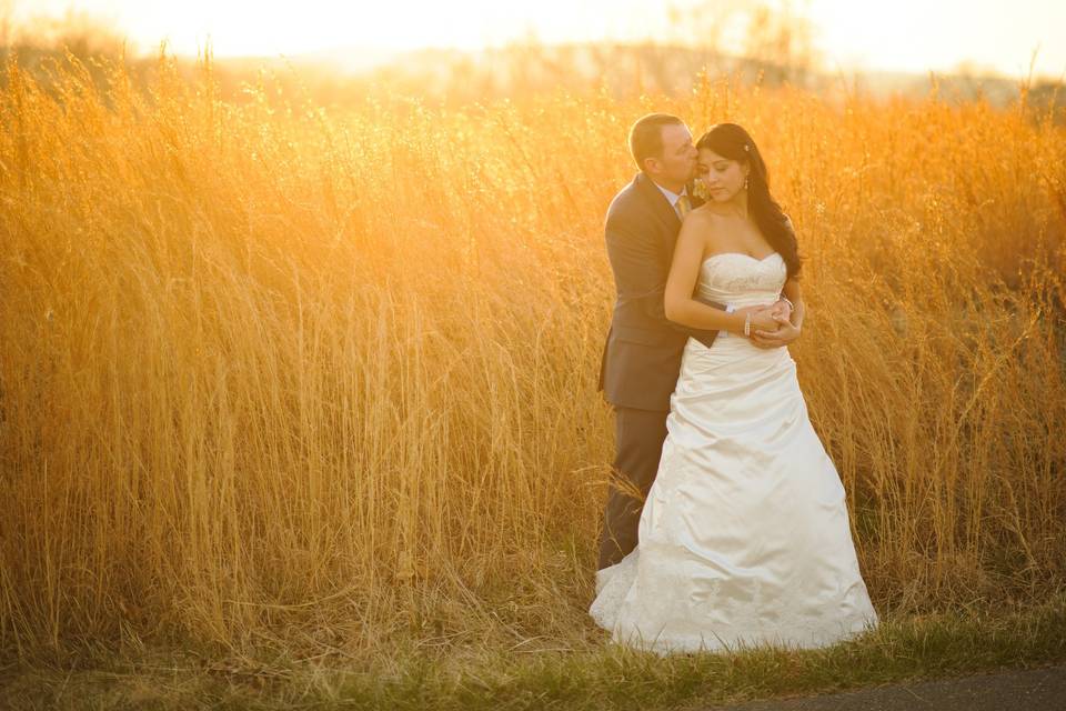 Tall grasses make for stunning photos