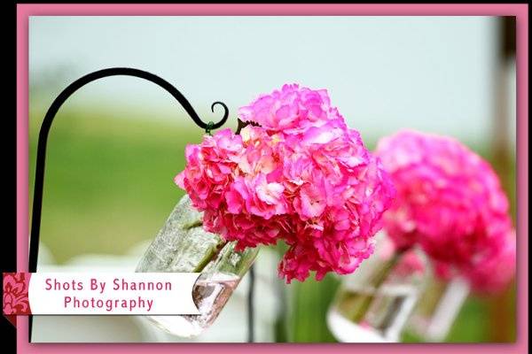 Shots By Shannon Photography