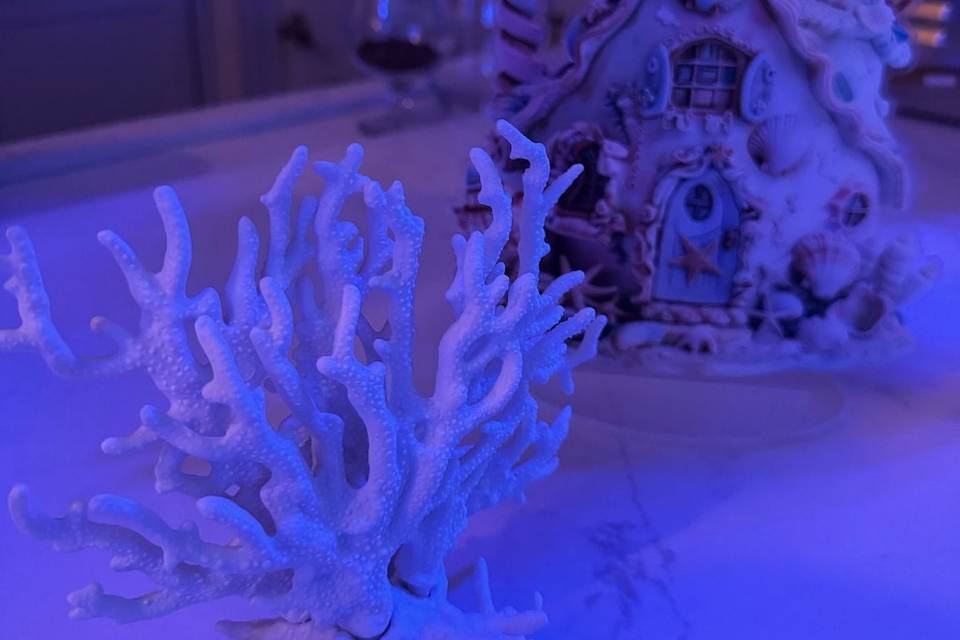 Centerpieces