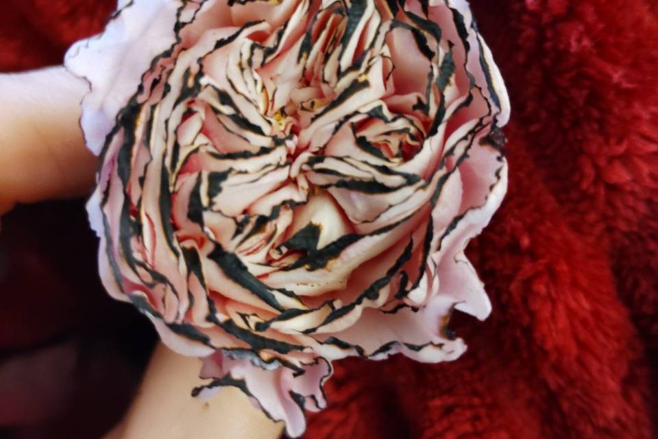 Burnt edge flowers