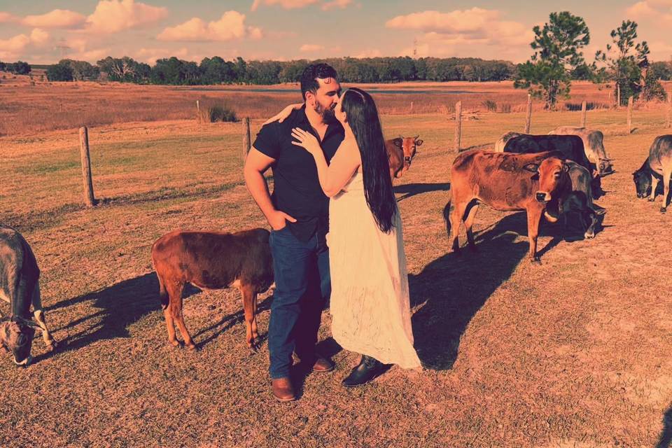 Rayl Ranch