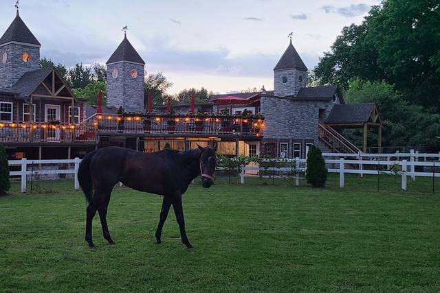 Saddle Creek Stables & Vineyard