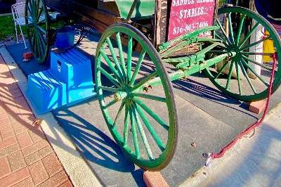 Carriage Photo Shoot