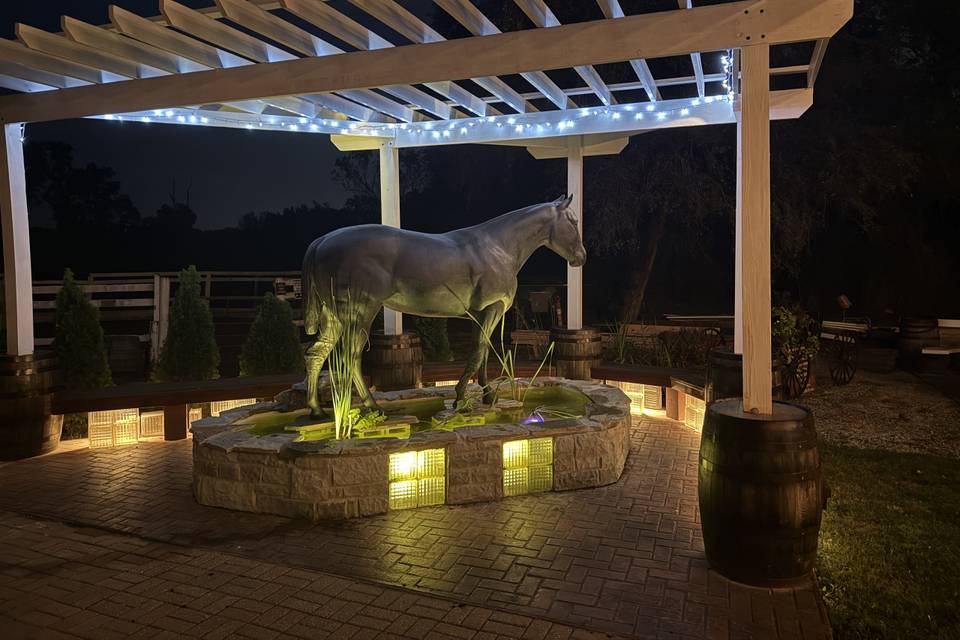 Koi pond & fountain at night