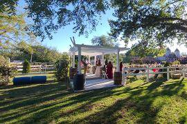 Pergola Outdoor Setup