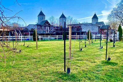 SaddleCreek Vineyards