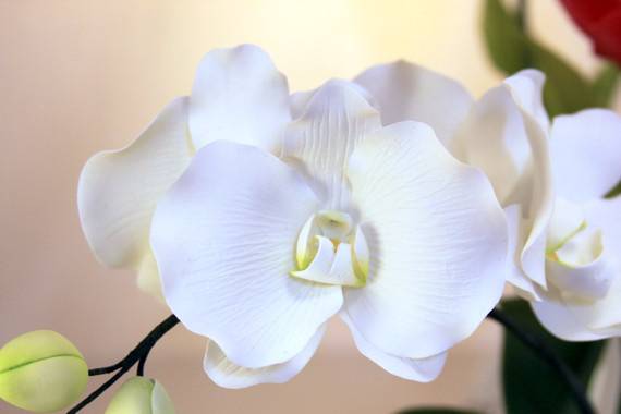 Orchids for centerpieces - Handcrafted Flowers
