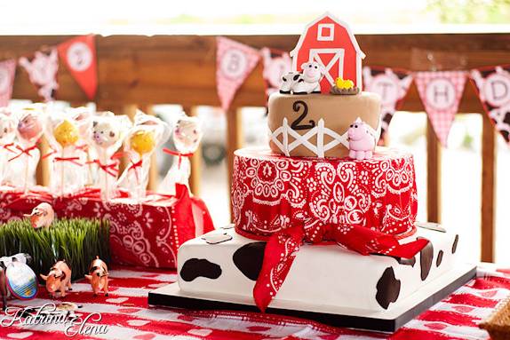 Farm cake and cake pops