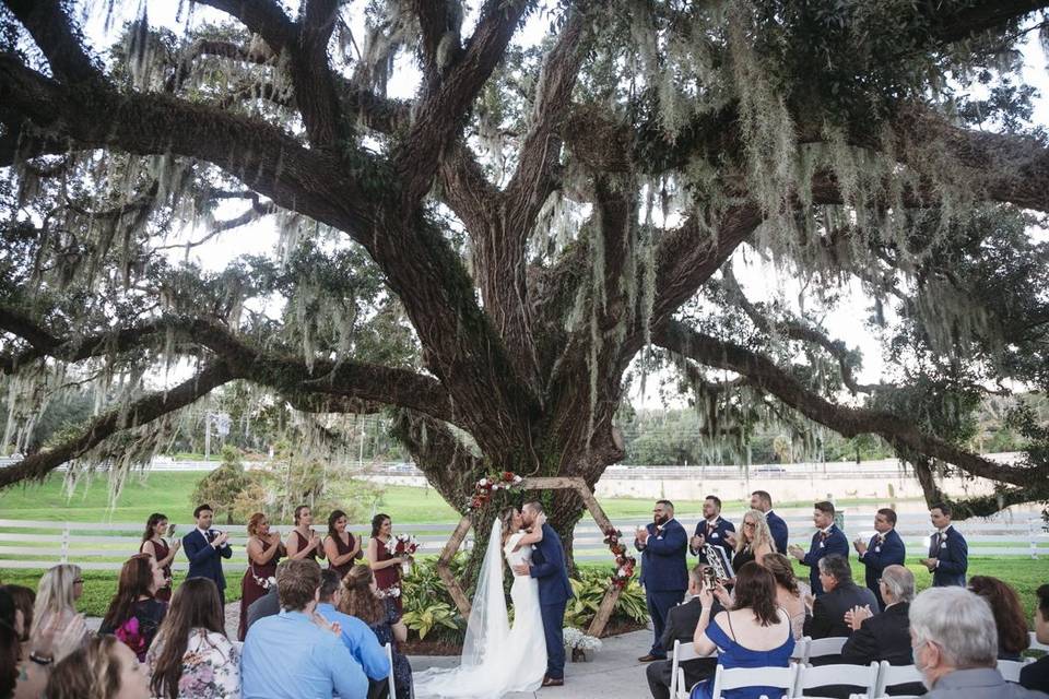 Big oak tree wedding florida