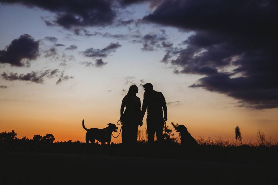 Sunset with Dogs