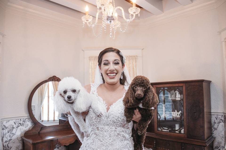 Bride and dogs